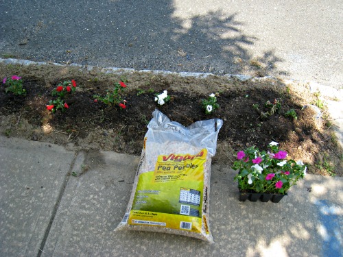 jardim de flores de rua para adicionar apelo ao freio, Plantando meu jardim na cal ada