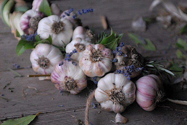 braiding garlic, gardening, Garlic is not only a delicious herb used in cooking It can also serve as a great looking display when paired with fresh herbs in your home