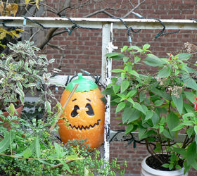 halloween in my urban garden jack o lanterns are birdwatchers, container gardening, flowers, gardening, halloween decorations, outdoor living, pets animals, seasonal holiday decor, succulents, urban living, HALLOWEEN 2006 This image was also the basis for a design re one of my Halloween cards HALLOWEEN 2006 This image was also the basis for a design re one of my Halloween cards