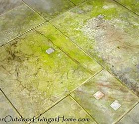 cleaning mildew amp algae from outdoor walks, cleaning tips