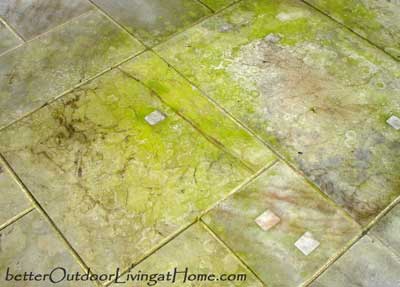 cleaning mildew amp algae from outdoor walks, cleaning tips