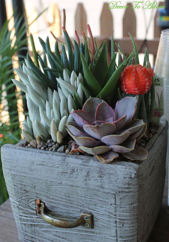 create a succulent garden in a thrift store container, container gardening, flowers, gardening, repurposing upcycling, succulents