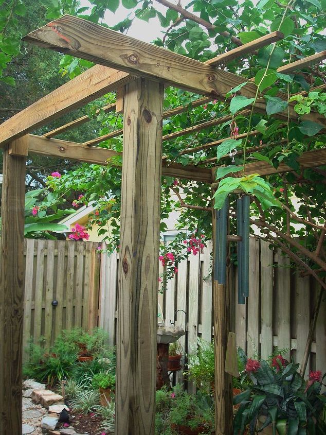 new arbor for bougainvillea support, gardening, lighting, woodworking projects, Looking up