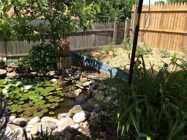 from pool to pond, landscape, ponds water features