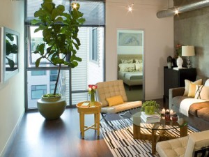 here are 5 easy ways to stage a home for sale with plants, flowers, gardening, home decor, real estate, Staging with Plants