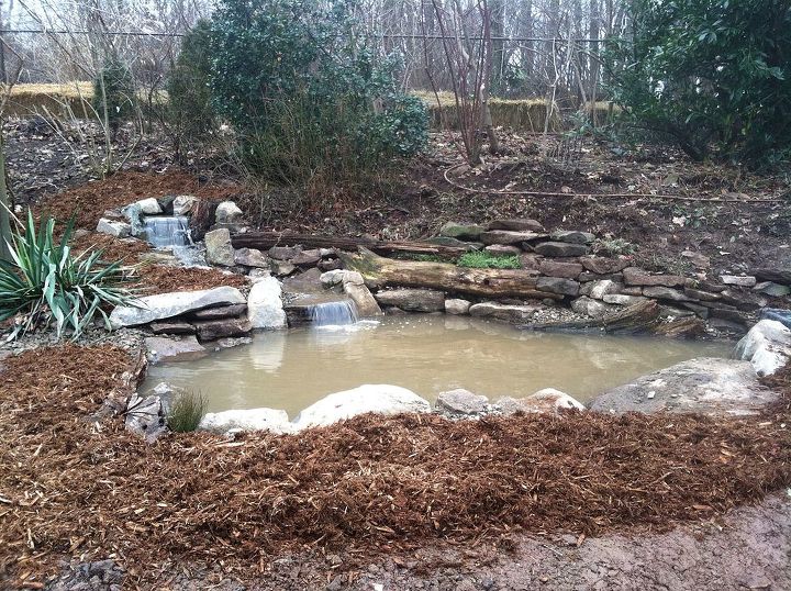 ecosystem fish pond renovation, outdoor living, pets animals, ponds water features, Ecosystem Fish Pond Pittstown NJ