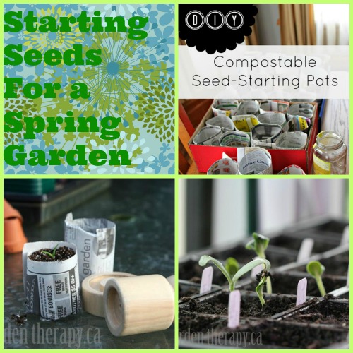 starting spring seeds indoors, container gardening, flowers, gardening, I got advice some of my favorite bloggers are how to start spring seeds indoors