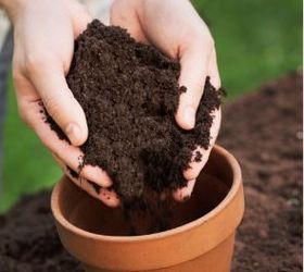 garden tip good soil for beautiful gardens, container gardening, gardening, The difference between good soil and bad soil is visually distinct Good soil is rich and black