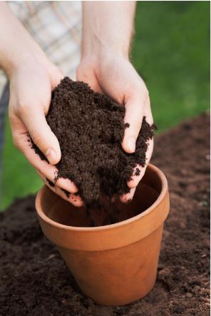 garden tip good soil for beautiful gardens, container gardening, gardening, The difference between good soil and bad soil is visually distinct Good soil is rich and black