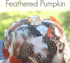 fun fall decor feathered pumpkin, crafts, seasonal holiday decor, thanksgiving decorations, Doesn t this pumpkin look like it s in an 80s Glamour Shot session at the mall COULD THIS PUMPKIN GET ANY MORE AWESOME