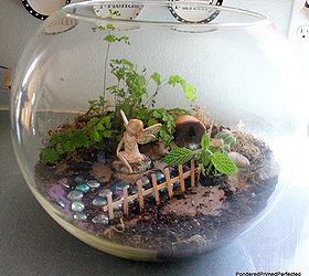 what is it about these tiny little fairy gardens that is so appealing, gardening, home decor, terrarium, I used a very large round fish bowl we ve had forever