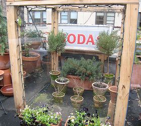urban garden winterizing update, container gardening, diy, flowers, gardening, perennial, seasonal holiday decor, urban living, Cold Frame CLOSED Year One This was included in a How my Urban Garden Grows Influence of my Grandfather
