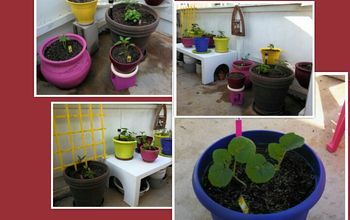 My Memorial Weekend Project...veggie Container Gardening