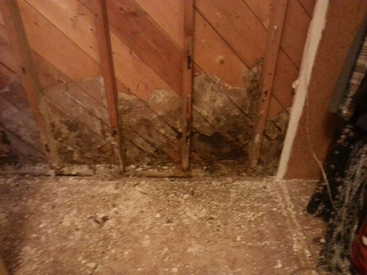 q help my wall is rotting and i don t know what to do, diy, home maintenance repairs, wall decor, woodworking projects
