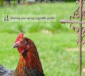 planning your spring vegetable garden, gardening