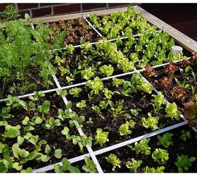 fastest way to plant a raised garden bed, gardening, raised garden beds