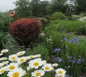 do you share views of your garden to encourage others to try it, flowers, gardening, perennials