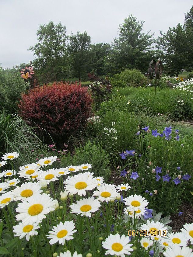 comparte usted las vistas de su jardn para animar a otros a probarlo