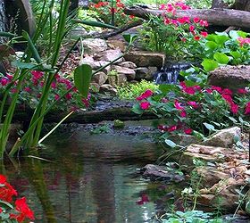 water gardens pondless waterfalls amp disappearing fountains are gaining, outdoor living, ponds water features