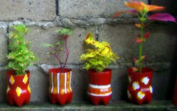 Upcycled PET bottles as Pretty Coleous planters