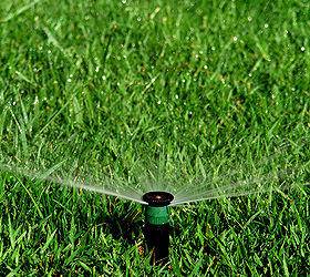 sprinkler installation, gardening, landscape
