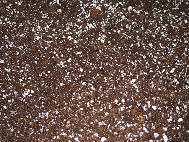 mixing up your own seed starting mixture, gardening, My mixing up equal parts of top soil perlite and peat moss I can make my own seed starting mixture