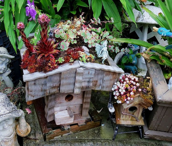 birdhouses, diy, gardening, outdoor living, pets animals, woodworking projects, The one on the left is a couple years old The small one is a copy of the one I bought
