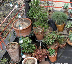 urban garden winterizing update part three, container gardening, flowers, gardening, seasonal holiday d cor, urban living, wreaths