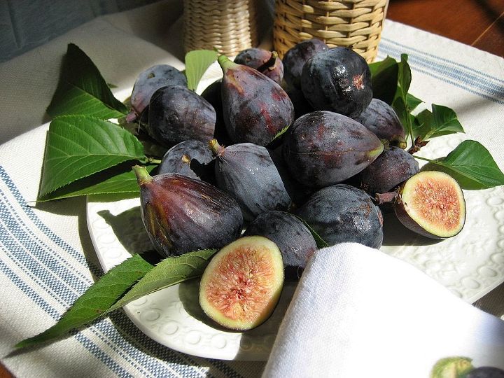 fall figs amp a tea towel to make i used a favorite painting and an iron on, crafts, home decor, seasonal holiday decor, Black Mission figs yum