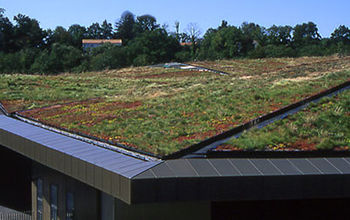 What Is Green Roofing?