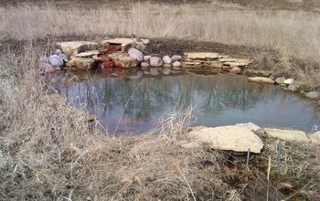 These are special ponds designed to be breeding ponds for the endangered Heinz Emerald Dragonflies located in Lemont, IL