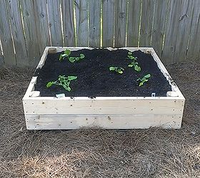 raised garden beds, diy, gardening, raised garden beds, woodworking projects, all set up and seedlings planted