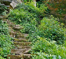 tea house steps at stan hywet, architecture, gardening, stairs, Stone steps and the top of a tea house at Stan Hywet Ferns Helleborus Pulmonaria and ivy cover this hillside
