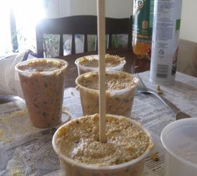 making peanut butter bird treats for my feathered friends, We sprayed plastic cups with cooking spray and filled them After they set a second or 2 we made little holes in them and placed them on a cookie sheet and let them freeze for approximately an hour