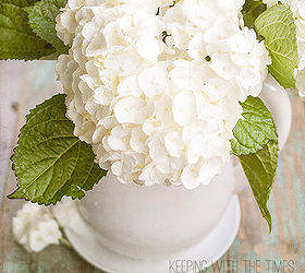how to care for freshly cut hydrangeas, flowers, gardening, hydrangea, I did a little research to find more tips on how to care for them and was rewarded with beautiful fluffy flowers that lasted for days and days