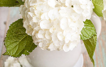 How to care for freshly cut hydrangeas! Come learn some surprising little tips!