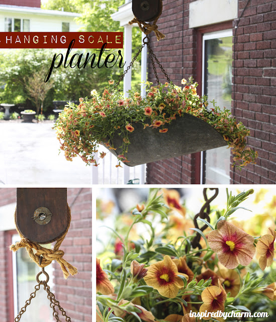 vintage hanging scale becomes a planter, flowers, gardening, repurposing upcycling, My new planter