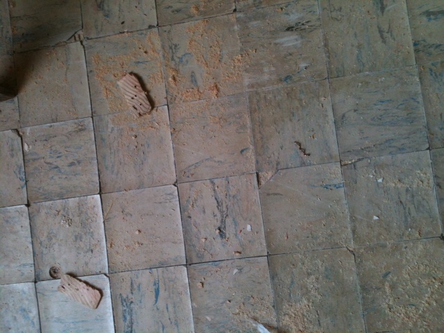 our bedroom project in this old house, bathroom ideas, bedroom ideas, diy, Old asbestos floor tile To be removed by a pro