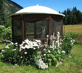 gorgeous gazebo from a recycled satellite dish, gardening, outdoor living, repurposing upcycling, Gorgeous gazebo from a recycled satellite dish
