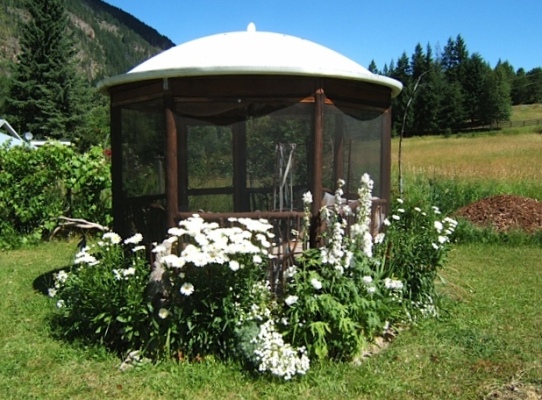 gorgeous gazebo from a recycled satellite dish, gardening, outdoor living, repurposing upcycling, Gorgeous gazebo from a recycled satellite dish