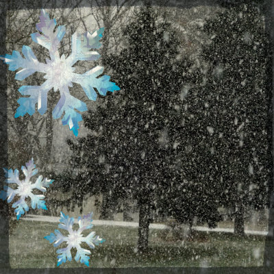 winter storm janus, gardening, outdoor living, Snowflakes falling