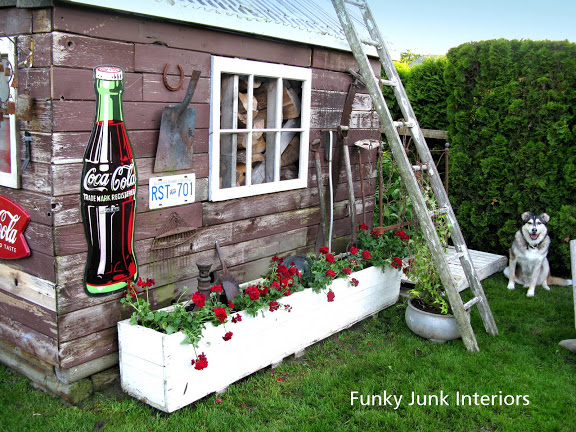 how to grow your garden with junk, flowers, gardening, outdoor living, repurposing upcycling, My junky shed out back makes for one pretty cute focal point