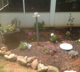 my garrden 2013 edition, flowers, gardening, We have bird feeders hanging frhm the screenroom roof