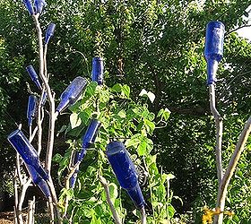 another bottle tree idea, gardening, repurposing upcycling, Branches started as fence posts