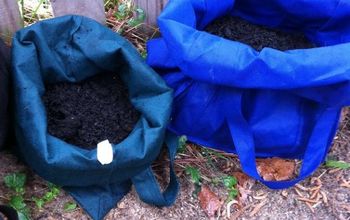 Use Reusable Grocery Bags to Grow Potatoes