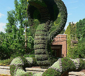 living sculpture at the atlanta botanical garden, gardening, outdoor living