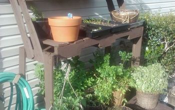 Our herb garden.  Pallet craft, my wife always has great re-use ideas.