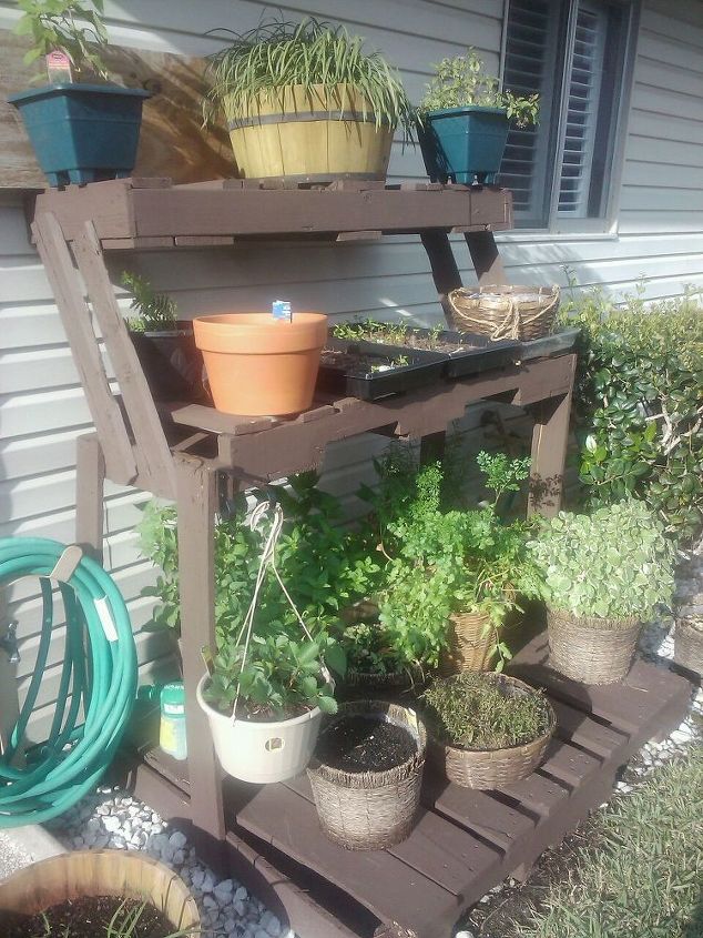 our herb garden pallet craft my wife always has great re use ideas, gardening, pallet projects, Pallet reuse herb garden