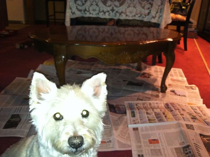 first chalk paint project completed, chalk paint, painted furniture, Bo Bo wanting to help