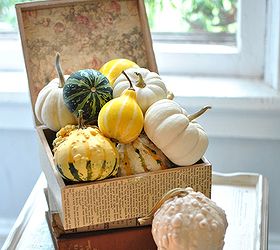 the softer side of fall, seasonal holiday d cor, thanksgiving decorations, A cigar box decoupaged with book pages and scrapbook paper is stuffed full with various gourds